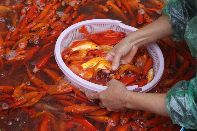 Những điều đại kỵ tuyệt đối kh&ocirc;ng phạm phải trong ng&agrave;y c&uacute;ng &ocirc;ng C&ocirc;ng &ocirc;ng T&aacute;o