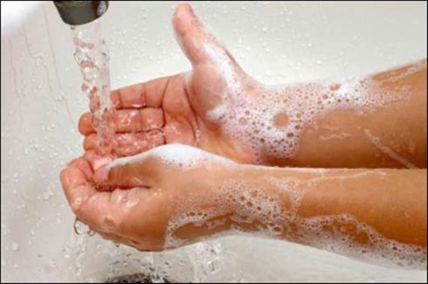Dịch bệnh E. coli đang c&oacute; nguy cơ b&ugrave;ng ph&aacute;t. L&agrave;m g&igrave; để ngăn ngừa?