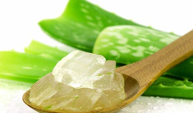 Những c&aacute;ch trị ngứa v&ugrave;ng k&iacute;n ngay tại nh&agrave; đơn giản m&agrave; hiệu quả