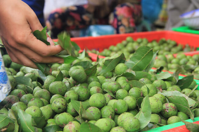 c&aacute;ch chọn sấu