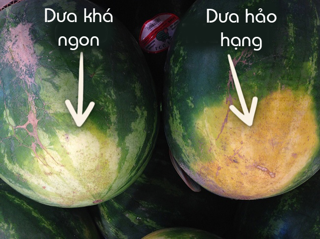 chọn dưa hấu