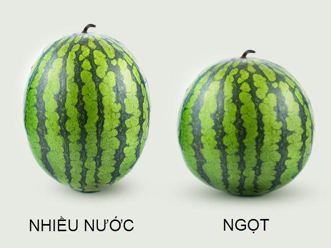 chọn dưa hấu