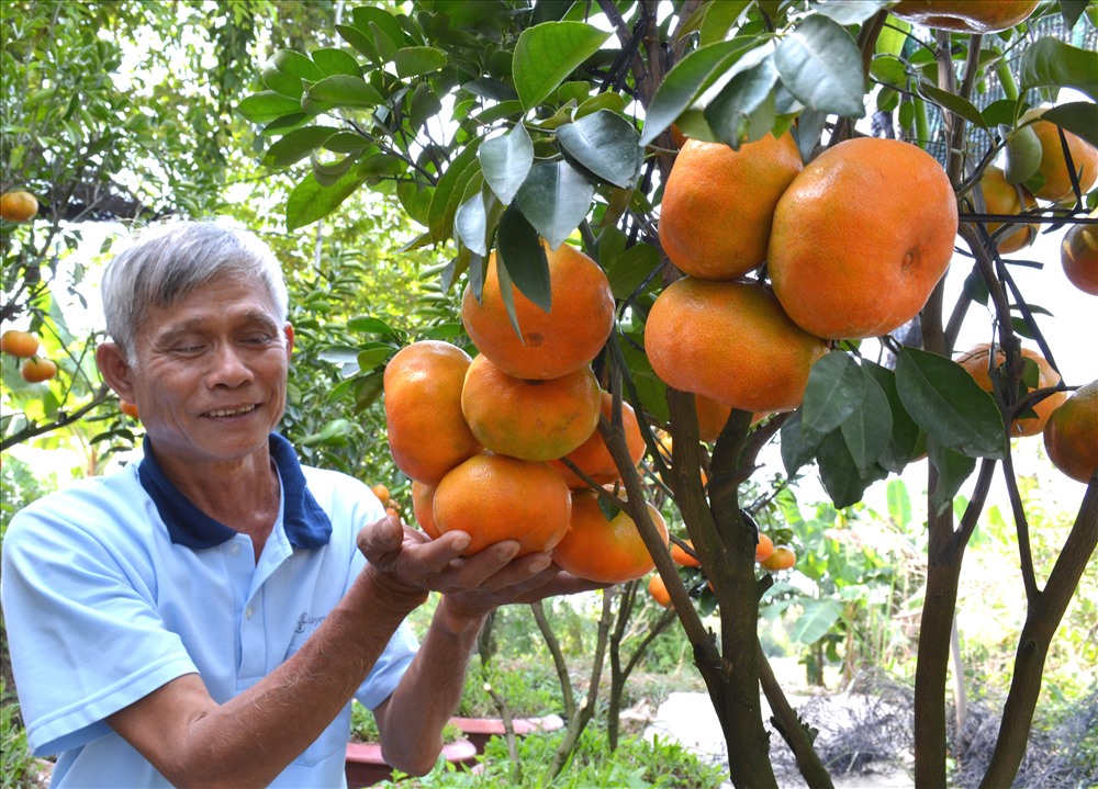 &lsquo;Biến h&oacute;a&rsquo; đặc sản qu&yacute;t hồng Lai Vung th&agrave;nh những m&oacute;n ngon kh&oacute; cưỡng