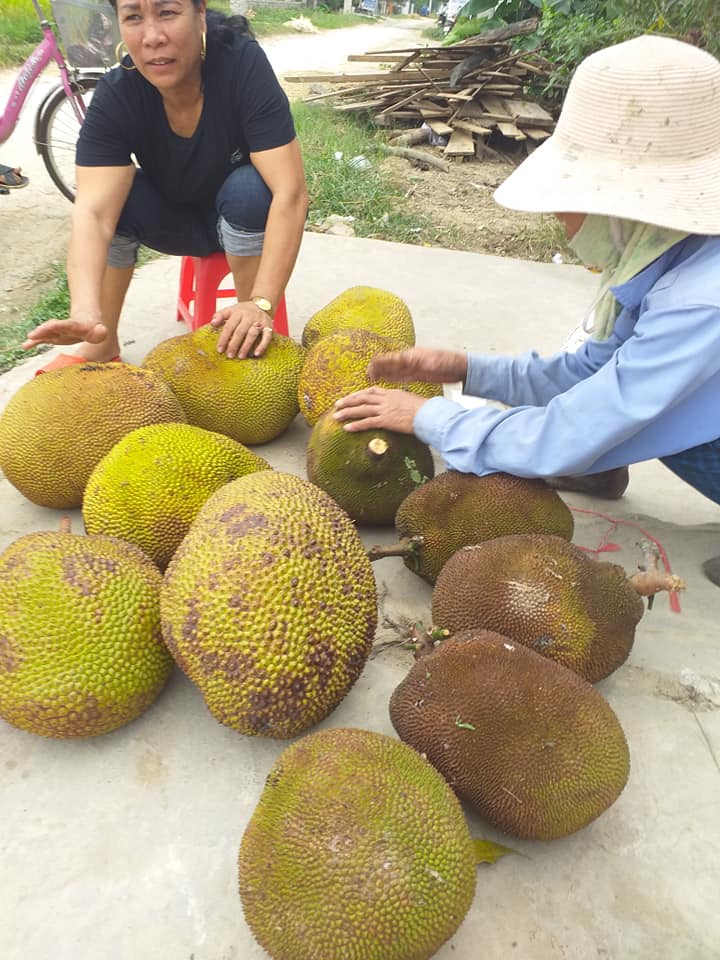 C&aacute;ch chọn m&iacute;t ngon si&ecirc;u đơn giản chỉ trong 1 ph&uacute;t