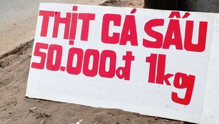 Tin tức mới cập nhật 24h ng&agrave;y 19/1/2015: C&aacute; sấu được b&agrave;y b&aacute;n tr&agrave;n lan khắp đường phố với gi&aacute; si&ecirc;u rẻ 50.000 đồng/kg