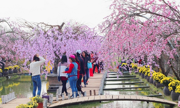 Dự b&aacute;o thời tiết ng&agrave;y mai 20/02/2015: Thời tiết những ng&agrave;y đầu năm tr&ecirc;n cả nước th&iacute;ch hợp để du xu&acirc;n