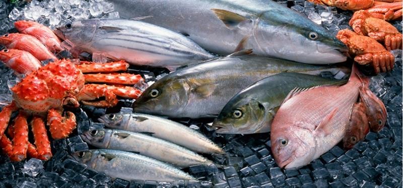 B&agrave; bầu n&ecirc;n tr&aacute;nh ăn c&aacute;c loại c&aacute; như c&aacute; ngừ, c&aacute; kiếm... v&igrave; chứa nhiều thủy ng&acirc;n c&oacute; hại cho thai nhi
