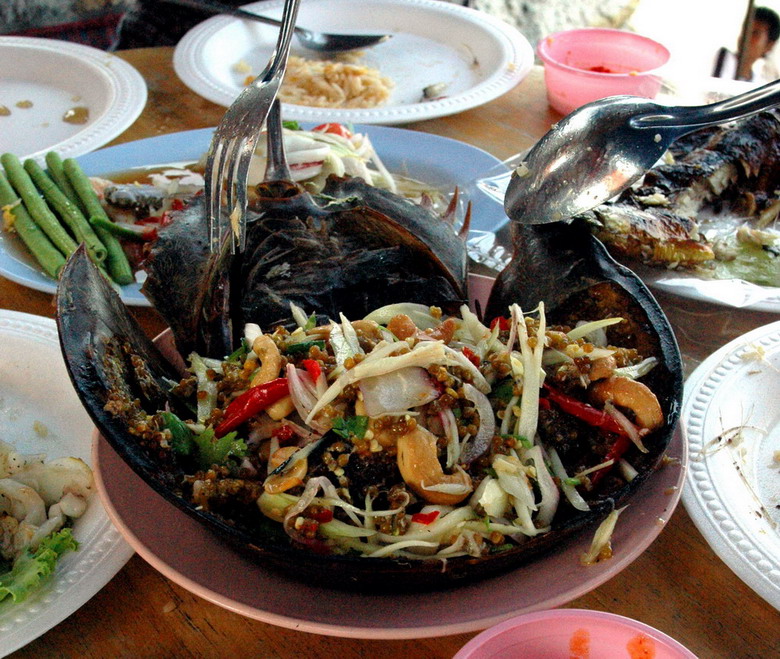 Sam biển Quảng Ninh chế biến được nhiều m&oacute;n ăn đặc sản
