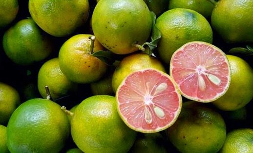 T&ugrave;y v&agrave;o mục đ&iacute;ch sử dụng m&agrave; c&oacute; c&aacute;ch chọn chanh đ&agrave;o cũng như k&iacute;ch cỡ kh&aacute;c nhau