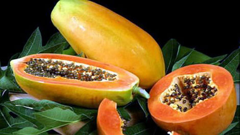 C&aacute;ch chọn đu đủ ngon n&ecirc;n dựa v&agrave;o phần n&uacute;m của quả đu đủ