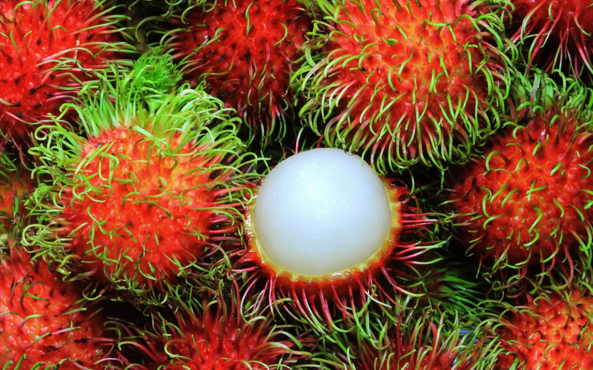 C&aacute;ch chọn mua ch&ocirc;m ch&ocirc;m ngon ngọt, d&agrave;y c&ugrave;i kh&ocirc;ng phải chị em n&agrave;o cũng biết