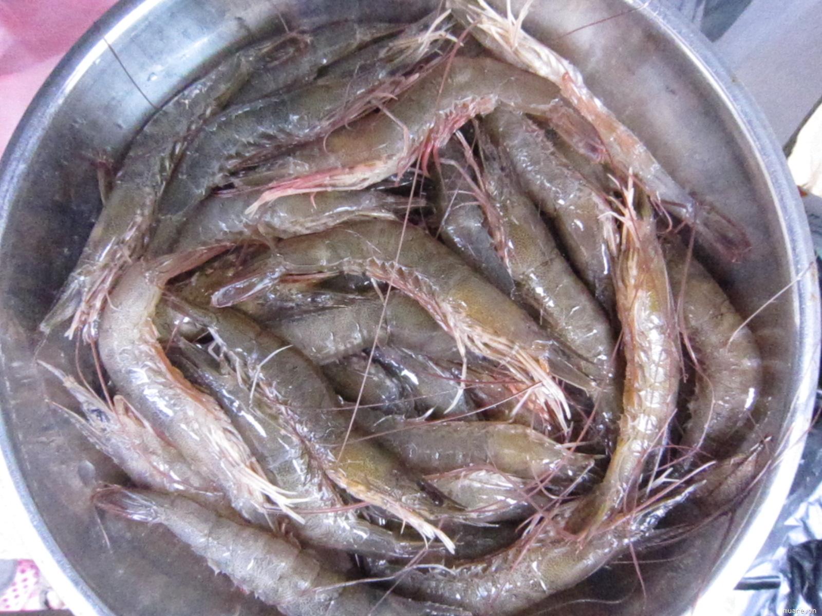 C&oacute; thể chọn t&ocirc;m đất hoặc t&ocirc;m bạc trong c&aacute;ch l&agrave;m t&ocirc;m rim nước cốt dừa