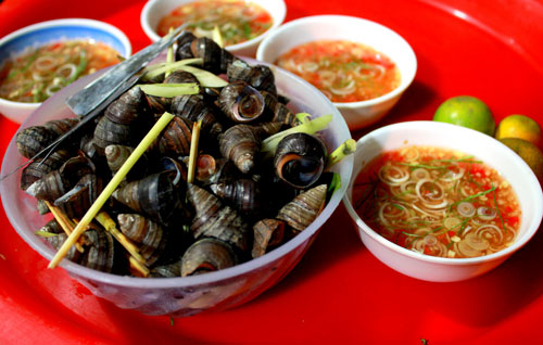 C&aacute;ch luộc ốc ngon gi&ograve;n với c&aacute;c b&iacute; quyết đơn giản