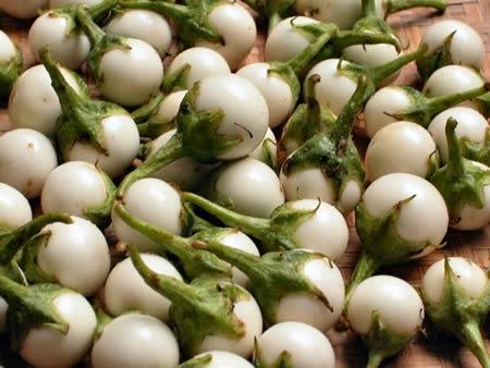 Nguy&ecirc;n liệu trong c&aacute;ch muối c&agrave; ph&aacute;o ngon đơn giản, phổ biến