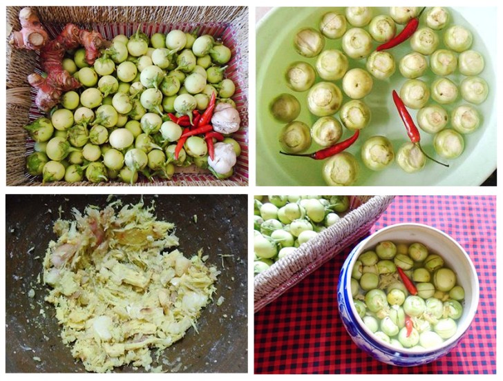 Muối c&agrave; ngon, gi&ograve;n, trắng với c&aacute;c bước dễ thực hiện