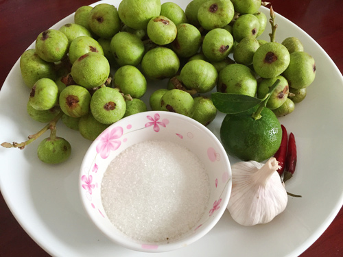 Cách muối sung giòn thơm với các nguyên liệu đơn giản Cách muối sung giòn thơm với các nguyên liệu đơn giản