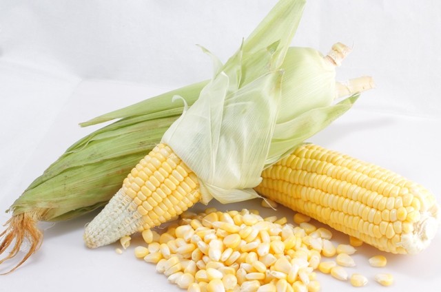 C&oacute; thể chọn ng&ocirc; ngọt hoặc ng&ocirc; nếp trong c&aacute;ch nấu x&ocirc;i ng&ocirc; thơm dẻo