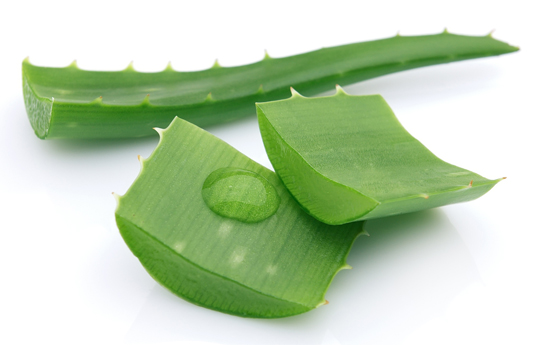 L&ocirc; hội cũng gi&uacute;p loại bỏ vảy g&agrave;u cực tốt