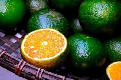 Cam Việt Nam vỏ sần s&ugrave;i, vỏ c&oacute; m&agrave;u kh&ocirc;ng đều, mẫu m&atilde; kh&ocirc;ng được đẹp mắt