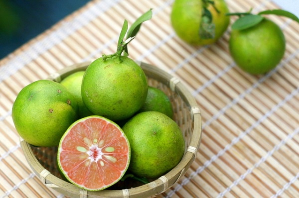 Ngửi vỏ chanh, vỏ qu&yacute;t l&agrave; c&aacute;ch chống say xe v&ocirc; c&ugrave;ng hiệu quả