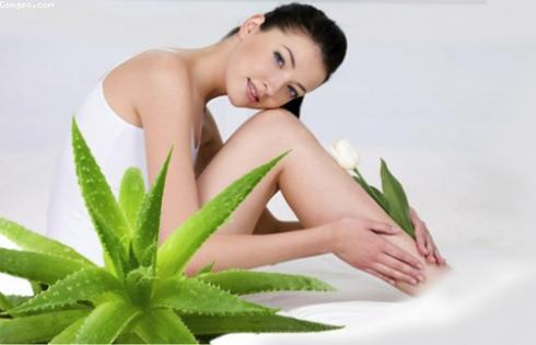 Chữa ch&aacute;y nắng v&agrave; bảo vệ l&agrave;n da khỏi &aacute;nh nắng mặt trời l&agrave; việc l&agrave;m quan trọng v&agrave; cần thiết đối với mỗi người