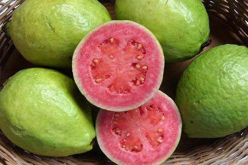 C&oacute; t&aacute;c dụng ph&ograve;ng ngứa ung thư m&agrave; một trong những c&ocirc;ng dụng chữa bệnh từ quả ổi