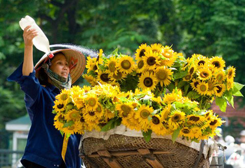 Dự b&aacute;o thời tiết ng&agrave;y mai 17/4/2015: Nền nhiệt miền Bắc tăng cao, trời oi bức
