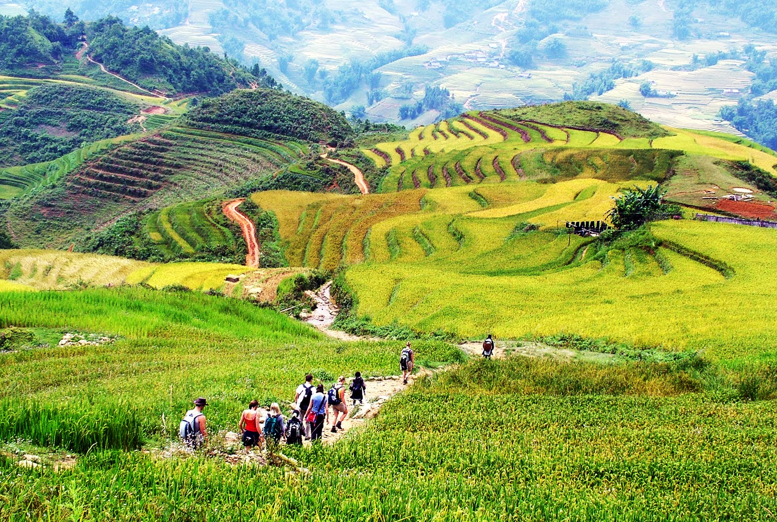 Sa Pa tuyệt đẹp với những thửa ruộng bậc thang v&agrave;ng &oacute;ng