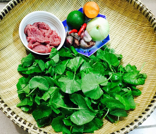 Nguy&ecirc;n liệu cho m&oacute;n gỏi rau m&aacute; thịt b&ograve; v&ocirc; c&ugrave;ng đơn giản