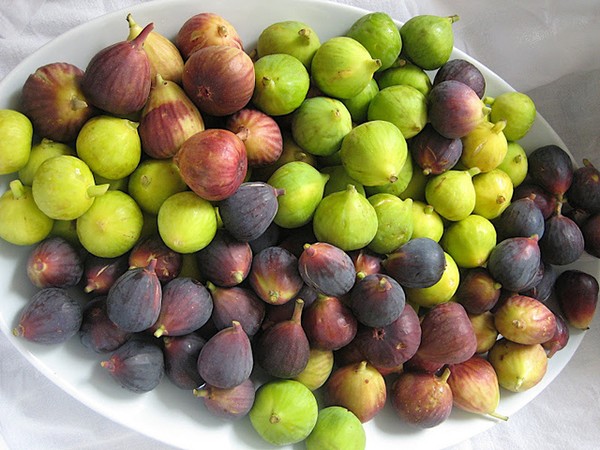 C&ocirc;ng dụng l&agrave;m đẹp bất ngờ từ sung l&agrave; hỗ trợ giảm c&acirc;n hiệu quả