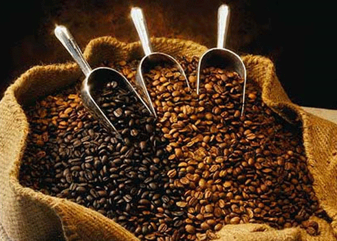 D&ugrave;ng c&agrave; ph&ecirc; để khử m&ugrave;i h&ocirc;i hộp nhựa l&agrave; mẹo vặt gia đ&igrave;nh hữu hiệu