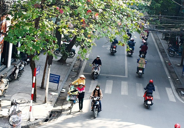 Dự b&aacute;o thời tiết ng&agrave;y mai 10/02: Đầu tuần, miền Bắc hửng nắng, nhiệt độ tăng nhẹ