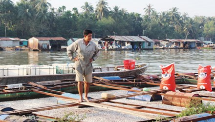 Hiện tượng c&aacute; chết h&agrave;ng loạt tr&ecirc;n s&ocirc;ng Đồng Nai khiến cả l&agrave;ng b&egrave; l&acirc;m v&agrave;o cảnh nợ nần v&igrave; mất trắng 200 tấn c&aacute;