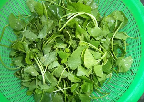 Rau m&aacute; c&oacute; thể l&agrave;m tăng nồng độ cholesterol v&agrave; lượng đường trong m&aacute;u kh&ocirc;ng tốt cho bệnh nh&acirc;n tiểu đường