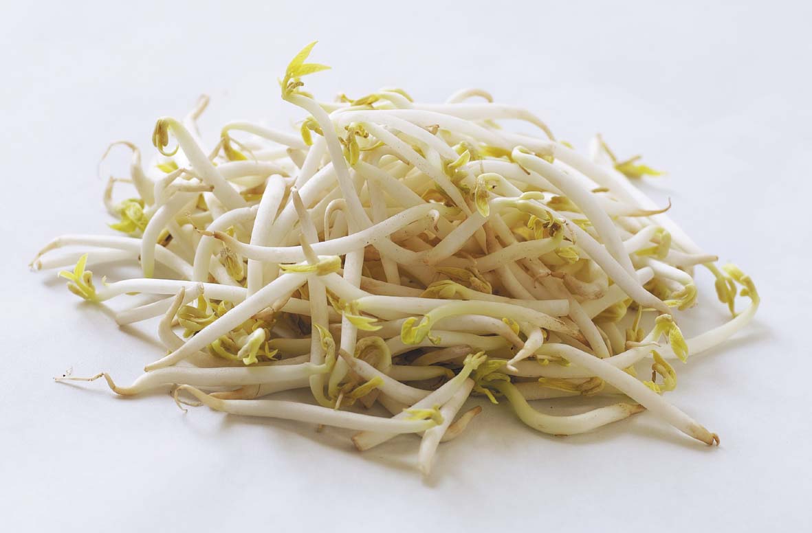 Rau mầm đậu n&agrave;nh v&agrave; gi&aacute; đỗ nhiễm khuẩn Listeria nguy hiểm