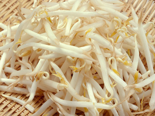 Kh&ocirc;ng n&ecirc;n chọn gi&aacute; đỗ to mập, &iacute;t rễ