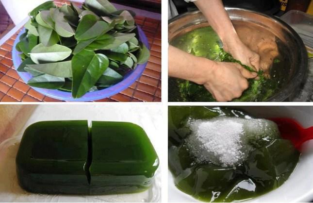 Thạch găng mà một món ăn đặc sản đến từ đất cảng Hải Phòng Thạch găng mà một món ăn đặc sản đến từ đất cảng Hải Phòng