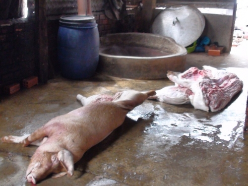 THu giữ 2 tạ thịt lợn bẩn, mắc bệnh xuất huyết đang được giết mổ, ra thị trường ti&ecirc;u thụ