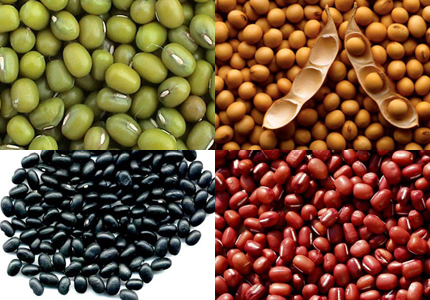 Đậu sống hoặc nấu chưa ch&iacute;n c&oacute; thể chứa một h&agrave;m lượng glycoprotein lectin cao g&acirc;y độc cho cơ thể