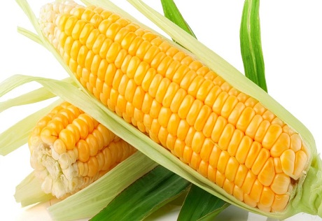 C&aacute;c sản phẩm biến đổi gen cũng l&agrave; một trong những 13Win OKVIP Cá cược bóng đá g&acirc;y ung thư
