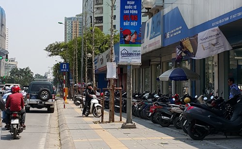 Vi&ecirc;̣c Hà N&ocirc;̣i cho chặt hạ nhi&ecirc;̀u c&acirc;y c&ocirc;̉ thụ và thay th&ecirc;́ c&acirc;y được gọi l&agrave; vàng t&acirc;m  đã g&acirc;y bức xúc trong dư lu&acirc;̣n