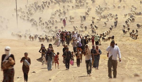 IS đ&atilde; tạo ra một cuộc khủng hoảng người tị nạn Yazidi ở Iraq