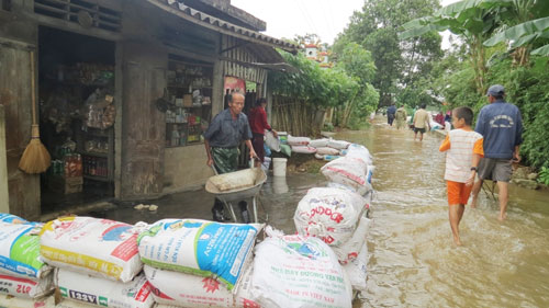 Tin tức mới cập nhật 24h ng&agrave;y 3/12: Mưa lũ l&agrave;m ảnh hưởng đến cuộc sống v&agrave; sản xuất n&ocirc;ng nghiệp của người d&acirc;n