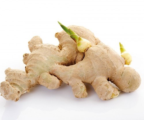 Gừng mọc mầm c&oacute; thể sinh ra lưu huỳnh g&acirc;y tổn thương gan, thậm ch&iacute; g&acirc;y ung thư
