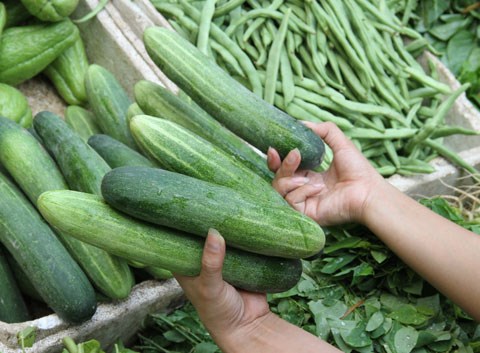 Ngo&agrave;i chọn mua dưa chuột khỏi đắng, người 13Win18 đa dạng khuyến mãi cũng phải c&oacute; một số lưu &yacute; nhất định khi ăn dưa