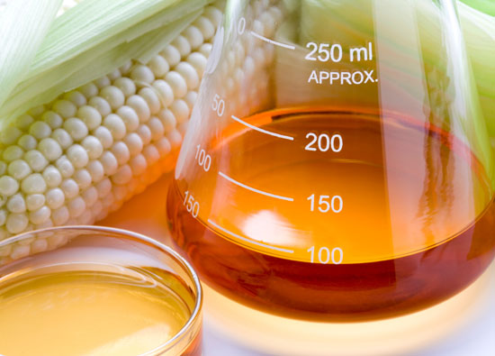 Đường fructose chiết xuất từ ng&ocirc; l&agrave;m tăng nguy cơ mắc bệnh tim
