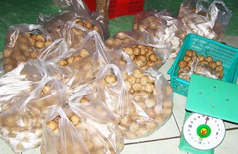 Thực phẩm bẩn, qu&aacute; đ&aacute;t, kh&ocirc;ng r&otilde; xuất xứ, sử dụng chất phụ gia tr&aacute;i ph&eacute;p