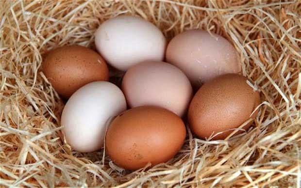 Trứng l&agrave; một trong những 13Win OKVIP Cá cược bóng đá gi&agrave;u chất sắt, rất c&oacute; lợi cho m&aacute;u
