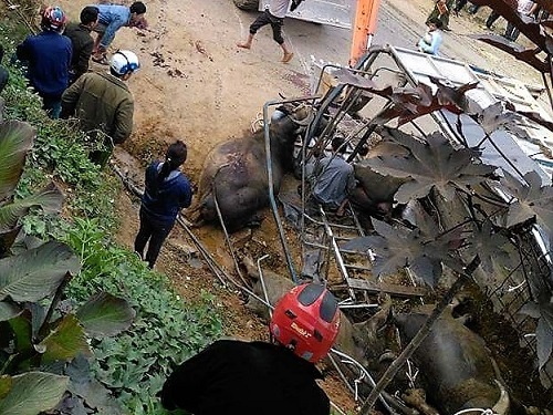 Tai nạn giao th&ocirc;ng ng&agrave;y 8/4: T&ocirc;ng trực diện v&agrave;o &ocirc; t&ocirc;, 2 thanh ni&ecirc;n tử vong tại chỗ