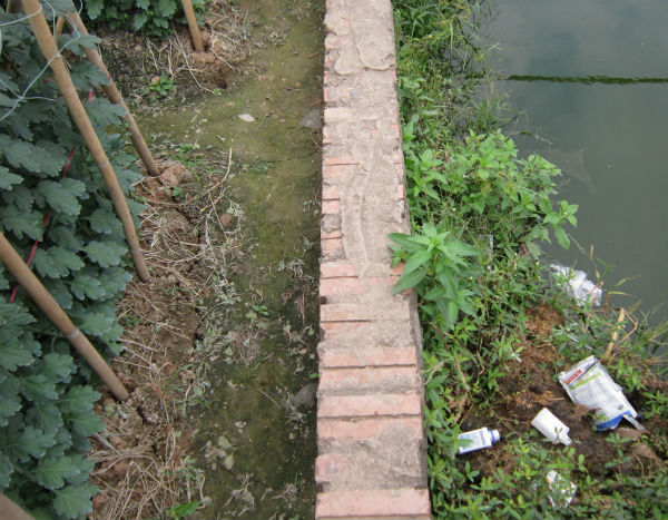 S&aacute;t vườn hoa rải đầy vỏ thuốc trừ s&acirc;u độc hại. Ảnh Minh Khu&ecirc;. 